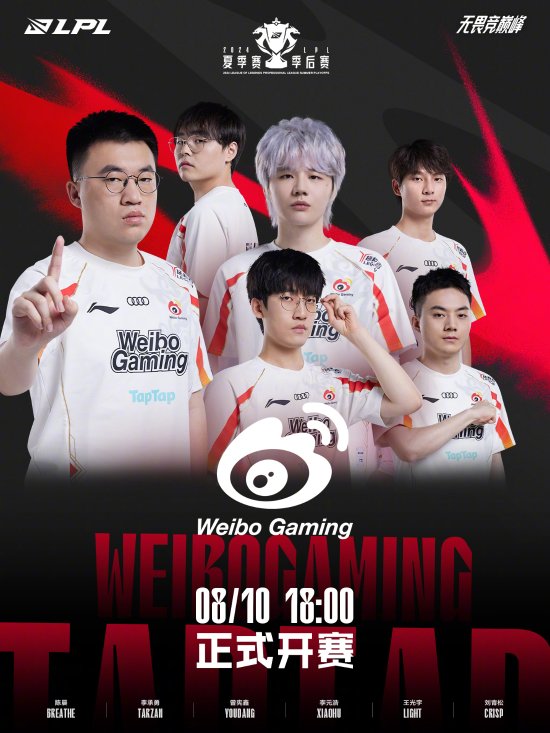 的相似之处 的相似之处