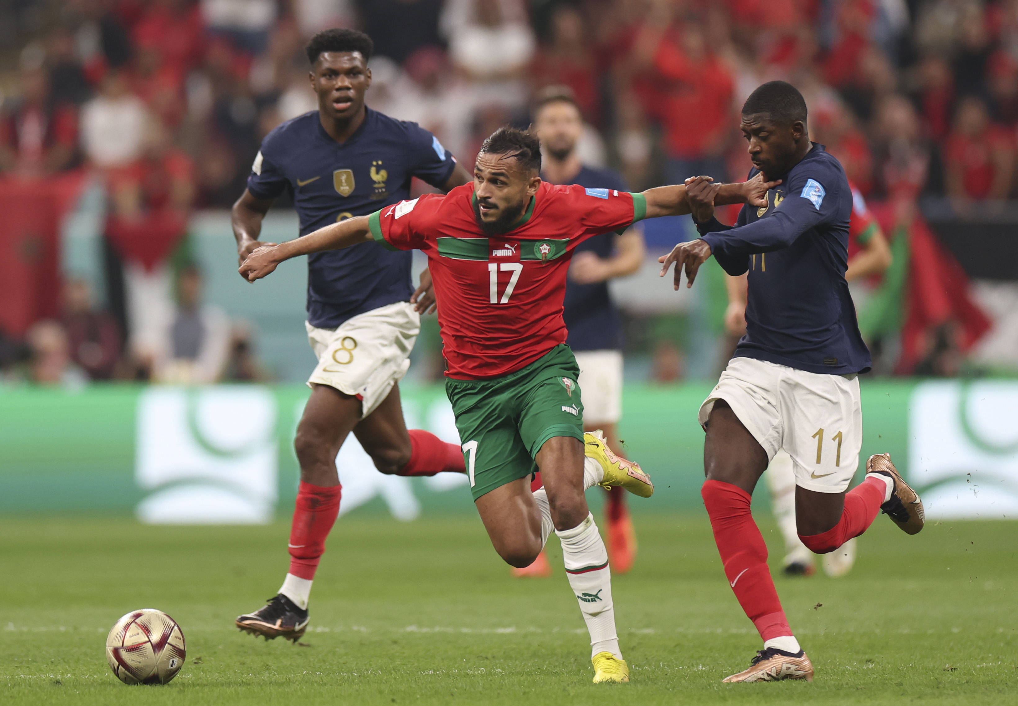 性和智慧的 性和智慧的