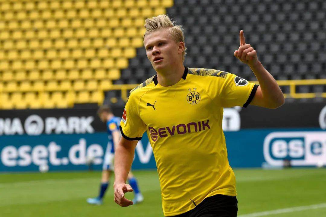 现在扑救数 现在扑救数