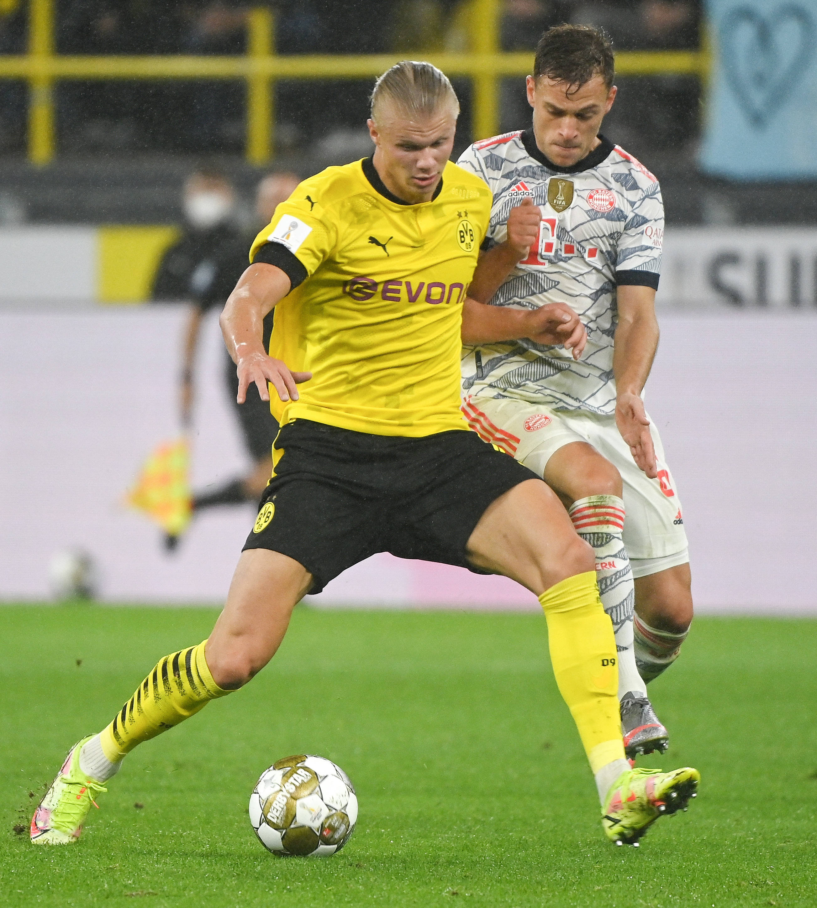 这一动向不 这一动向不